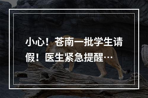 小心！苍南一批学生请假！医生紧急提醒…