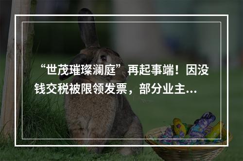 “世茂璀璨澜庭”再起事端！因没钱交税被限领发票，部分业主办证受阻