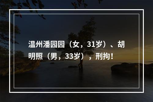 温州潘园园（女，31岁）、胡明照（男，33岁），刑拘！