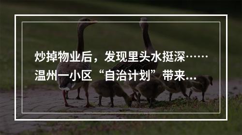 炒掉物业后，发现里头水挺深……温州一小区“自治计划”带来什么启示
