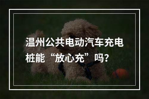温州公共电动汽车充电桩能“放心充”吗？