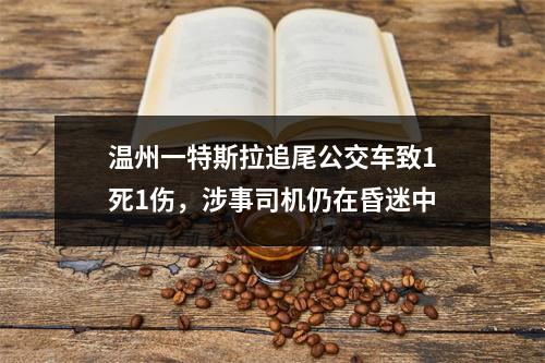 温州一特斯拉追尾公交车致1死1伤，涉事司机仍在昏迷中