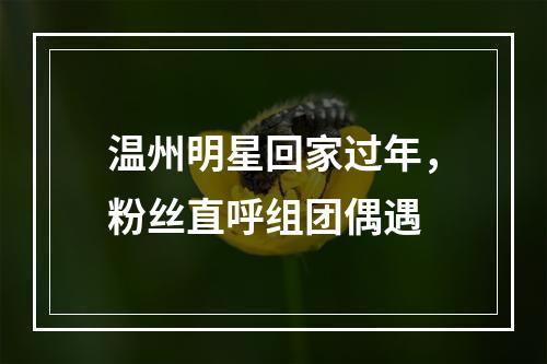 温州明星回家过年，粉丝直呼组团偶遇