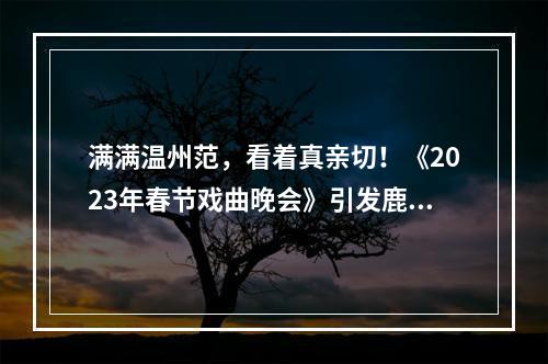 满满温州范，看着真亲切！《2023年春节戏曲晚会》引发鹿城市民热烈反响！