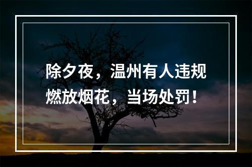 除夕夜，温州有人违规燃放烟花，当场处罚！