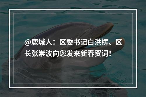 @鹿城人：区委书记白洪楞、区长张崇波向您发来新春贺词！