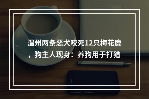 温州两条恶犬咬死12只梅花鹿，狗主人现身：养狗用于打猎