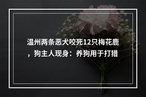 温州两条恶犬咬死12只梅花鹿，狗主人现身：养狗用于打猎