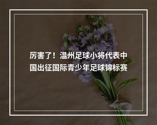 厉害了！温州足球小将代表中国出征国际青少年足球锦标赛