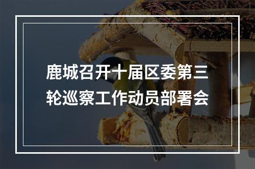 鹿城召开十届区委第三轮巡察工作动员部署会