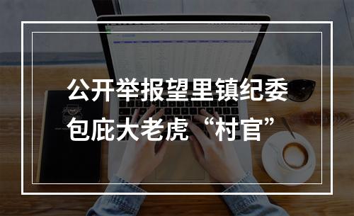 公开举报望里镇纪委包庇大老虎“村官”