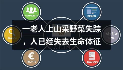 一老人上山采野菜失踪，人已经失去生命体征