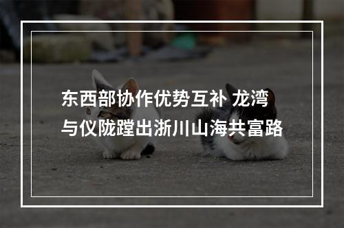 东西部协作优势互补 龙湾与仪陇蹚出浙川山海共富路