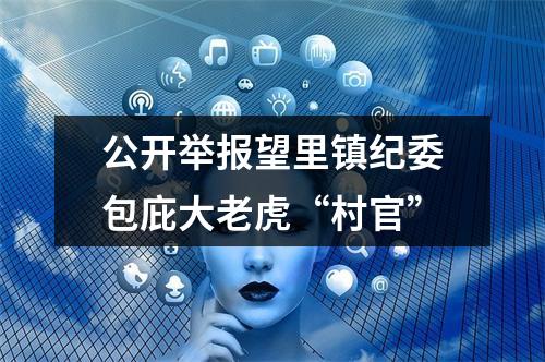 公开举报望里镇纪委包庇大老虎“村官”