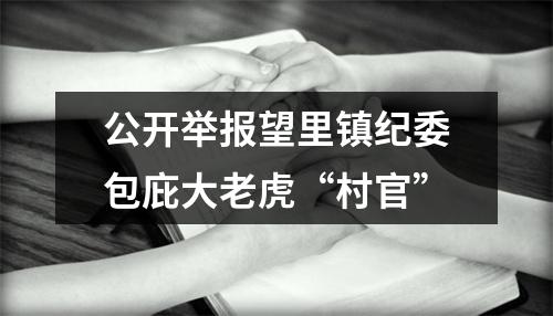公开举报望里镇纪委包庇大老虎“村官”