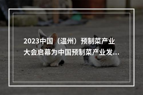 2023中国（温州）预制菜产业大会启幕为中国预制菜产业发展贡献温州力量
