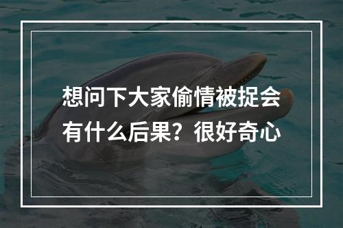 想问下大家偷情被捉会有什么后果？很好奇心
