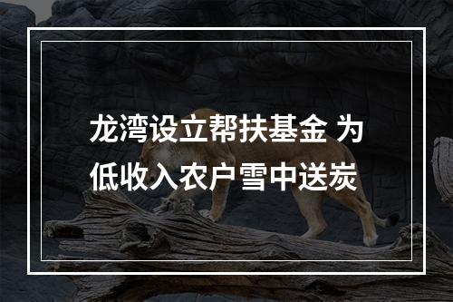 龙湾设立帮扶基金 为低收入农户雪中送炭