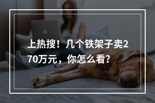 上热搜！几个铁架子卖270万元，你怎么看？