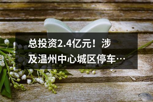 总投资2.4亿元！涉及温州中心城区停车…