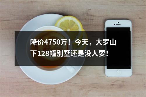 降价4750万！今天，大罗山下128幢别墅还是没人要！