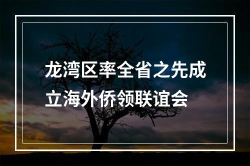 龙湾区率全省之先成立海外侨领联谊会