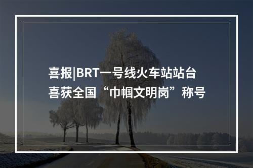 喜报|BRT一号线火车站站台喜获全国“巾帼文明岗”称号
