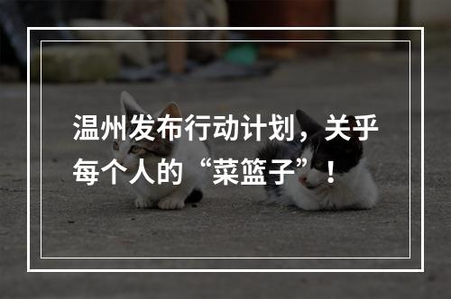 温州发布行动计划，关乎每个人的“菜篮子”！