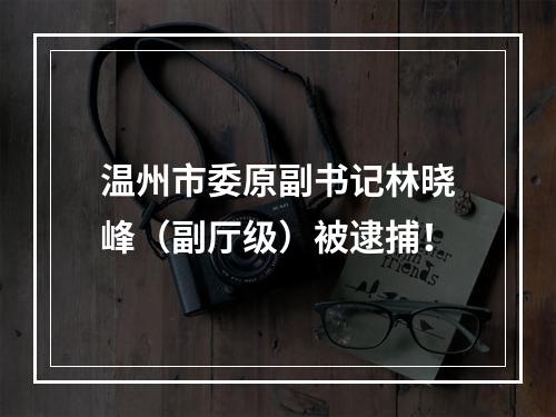 温州市委原副书记林晓峰（副厅级）被逮捕！