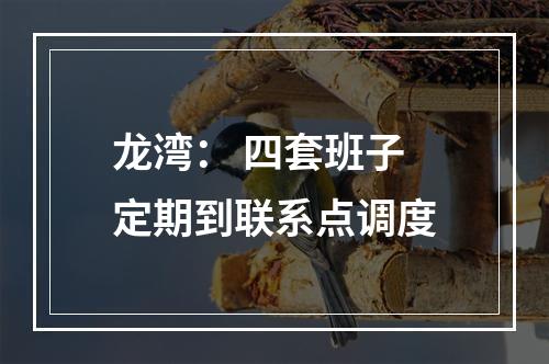 龙湾： 四套班子定期到联系点调度