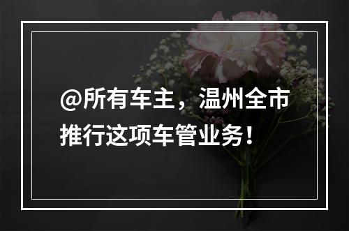 @所有车主，温州全市推行这项车管业务！