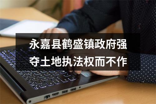 永嘉县鹤盛镇政府强夺土地执法权而不作