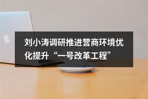 刘小涛调研推进营商环境优化提升“一号改革工程”