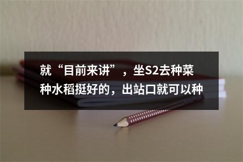 就“目前来讲”，坐S2去种菜种水稻挺好的，出站口就可以种