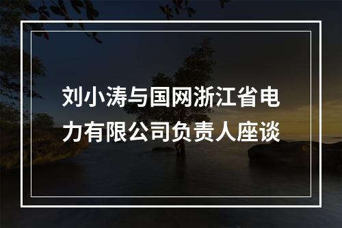刘小涛与国网浙江省电力有限公司负责人座谈