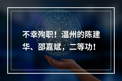 不幸殉职！温州的陈建华、邵嘉斌，二等功！