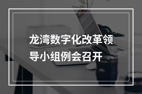 龙湾数字化改革领导小组例会召开