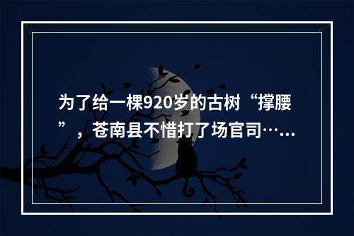 为了给一棵920岁的古树“撑腰”，苍南县不惜打了场官司……