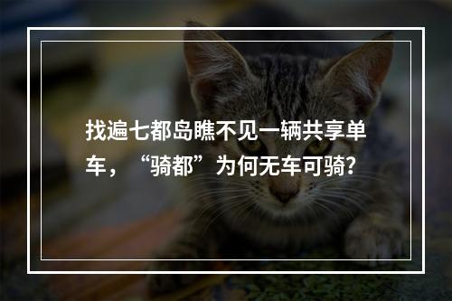 找遍七都岛瞧不见一辆共享单车，“骑都”为何无车可骑？