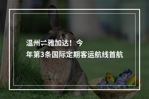 温州⇌雅加达！今年第3条国际定期客运航线首航