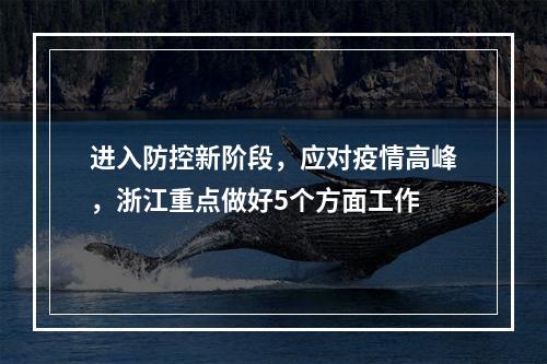 进入防控新阶段，应对疫情高峰，浙江重点做好5个方面工作