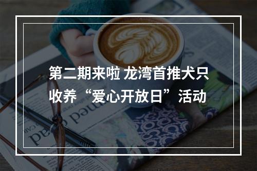 第二期来啦 龙湾首推犬只收养“爱心开放日”活动