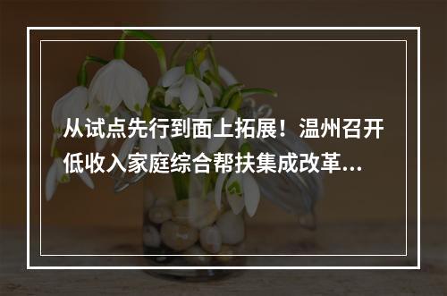 从试点先行到面上拓展！温州召开低收入家庭综合帮扶集成改革工作推进会