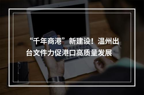 “千年商港”新建设！温州出台文件力促港口高质量发展
