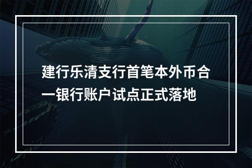 建行乐清支行首笔本外币合一银行账户试点正式落地