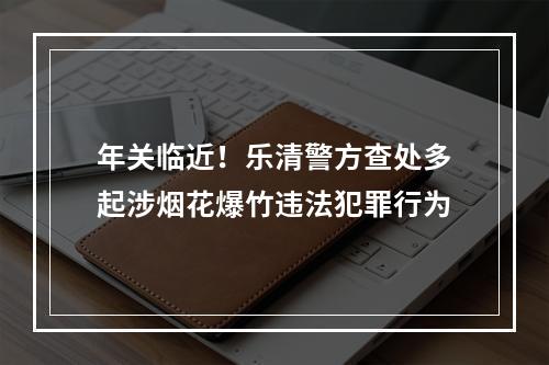 年关临近！乐清警方查处多起涉烟花爆竹违法犯罪行为