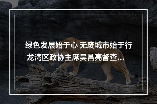 绿色发展始于心 无废城市始于行 龙湾区政协主席吴昌亮督查龙湾区“无废城市”创建工作