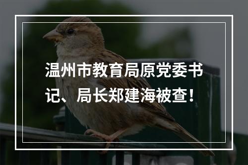 温州市教育局原党委书记、局长郑建海被查！