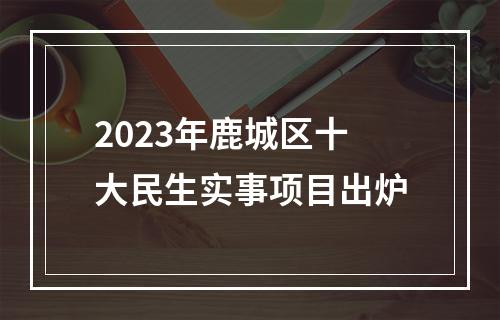 2023年鹿城区十大民生实事项目出炉