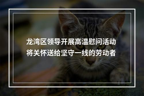 龙湾区领导开展高温慰问活动 将关怀送给坚守一线的劳动者